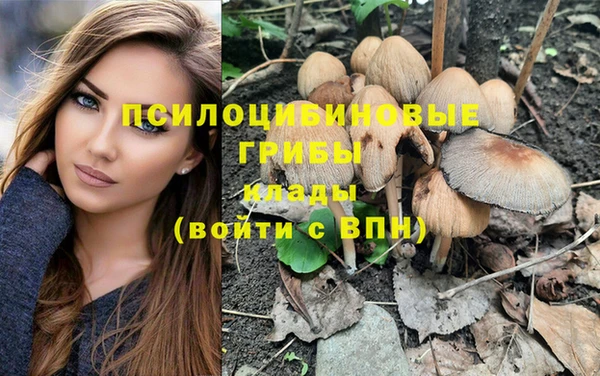 круглые Осташков