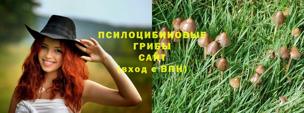 бошки Осинники
