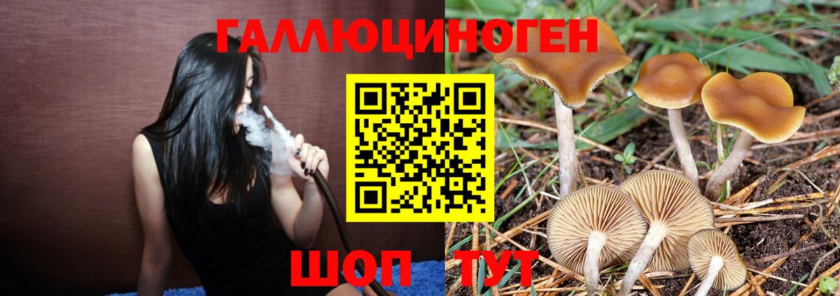 Советская Гавань  Галлюциногенные грибы прущие грибы  Вход с VPN 